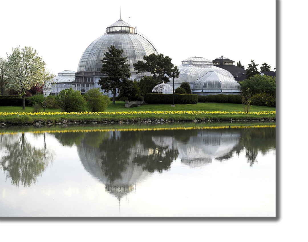 CANVAS PRINTS - BELLE ISLE CONSERVATORY