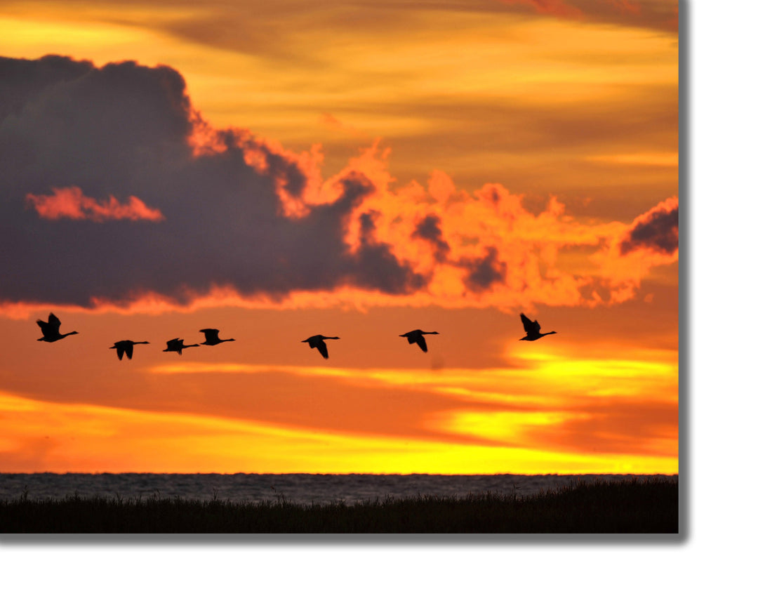 CANVAS PRINTS - LAKE HURON SUNRISE