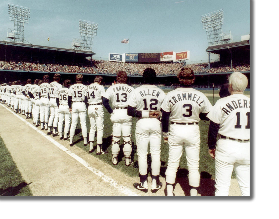 CANVAS PRINTS - DETROIT TIGERS OPENING DAY 1984