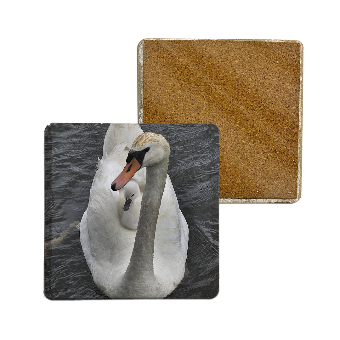 Stone Coasters - MICHIGAN SWAN WITH CYGNET