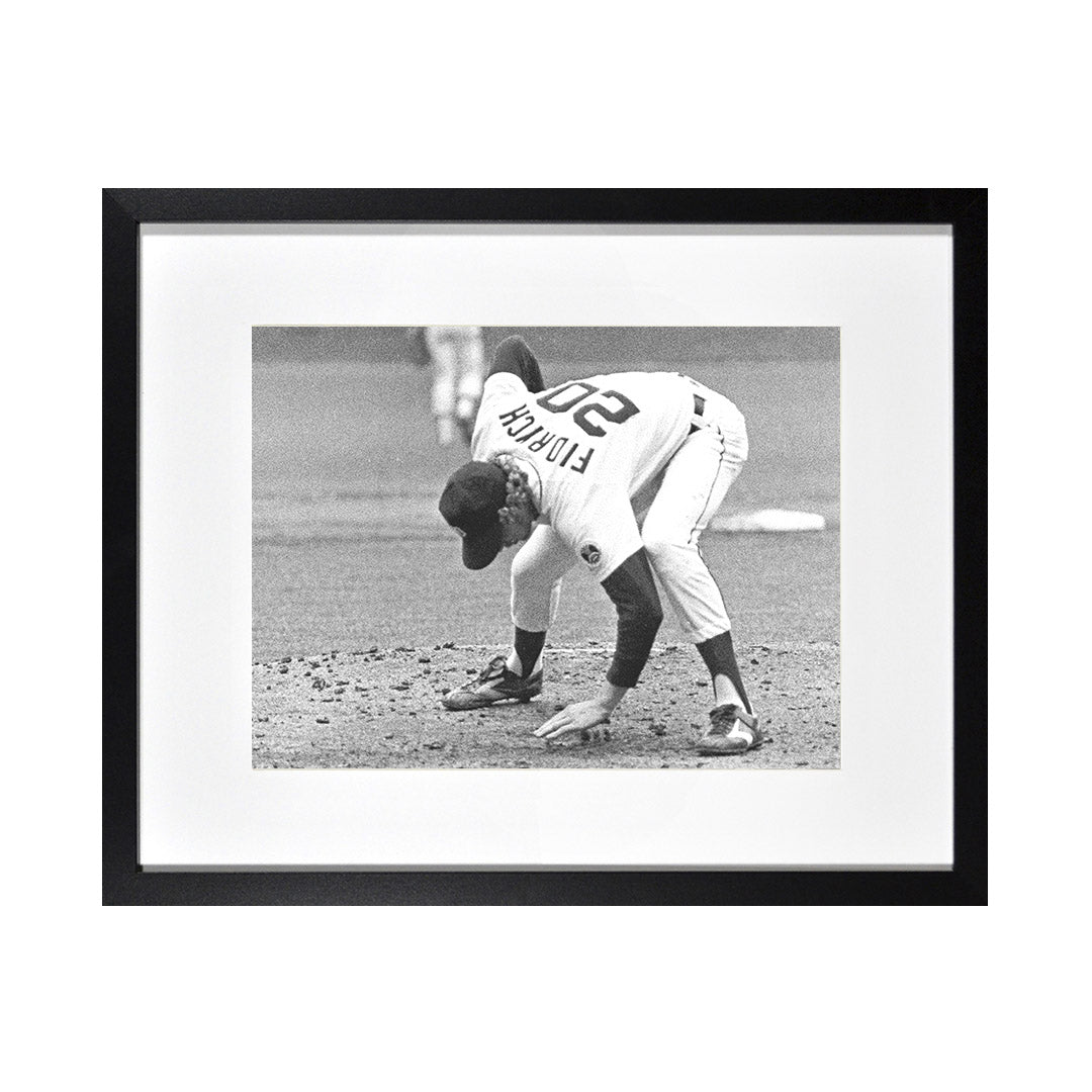 Framed Print Photos - MARK FIDRYCH