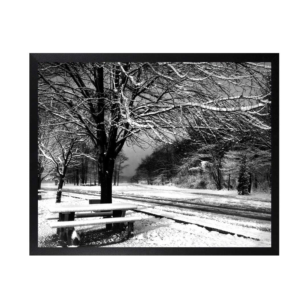 Framed Canvas Photos - BELLE ISLE WINTER