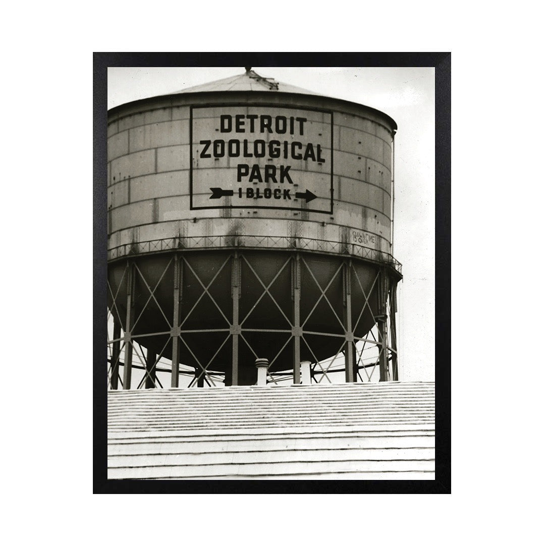 Framed Canvas Photos - DETROIT WATER TOWER