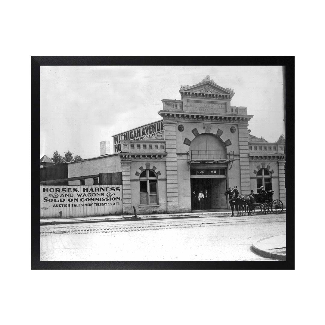 Framed Canvas Photos - DETROIT ZOO