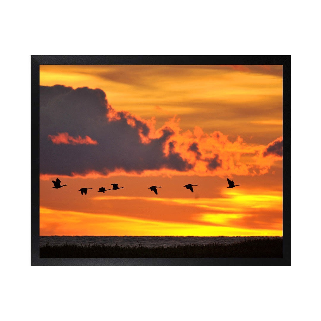 Framed Canvas Photos- LAKE HURON SUNRISE