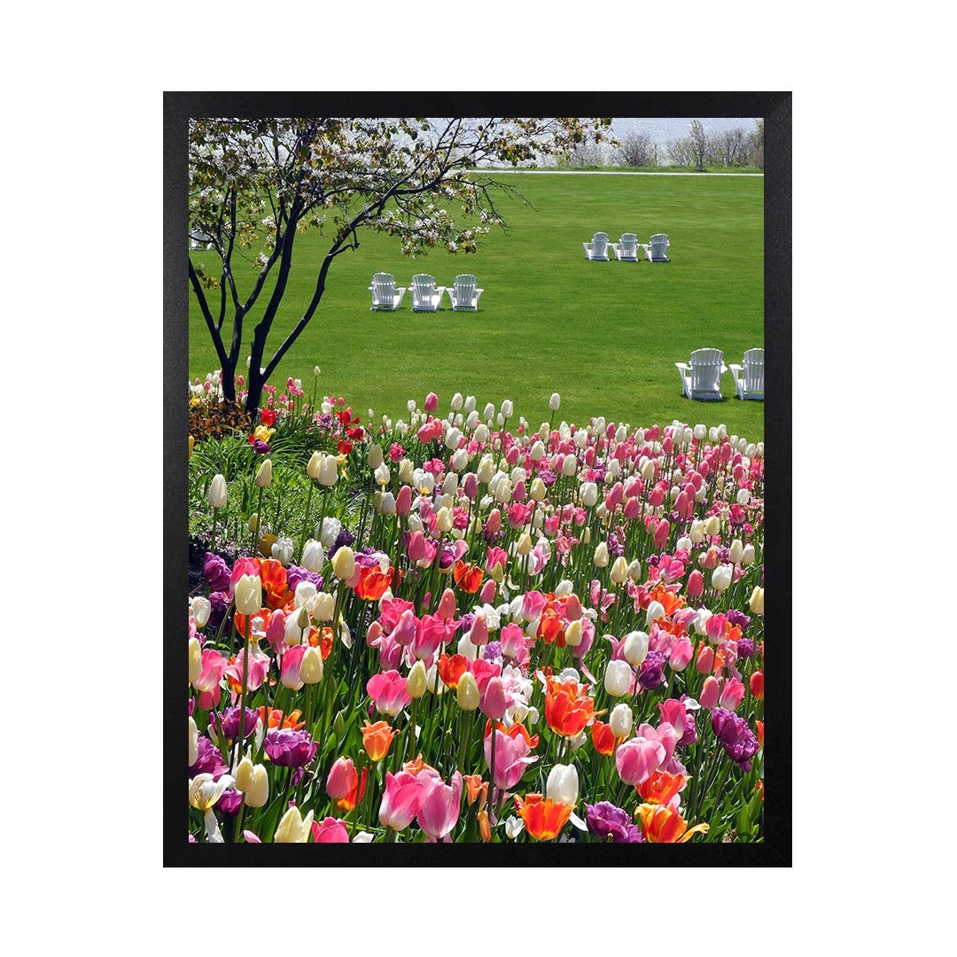 Framed Canvas Photos- MACKINAC ISLAND TULIPS