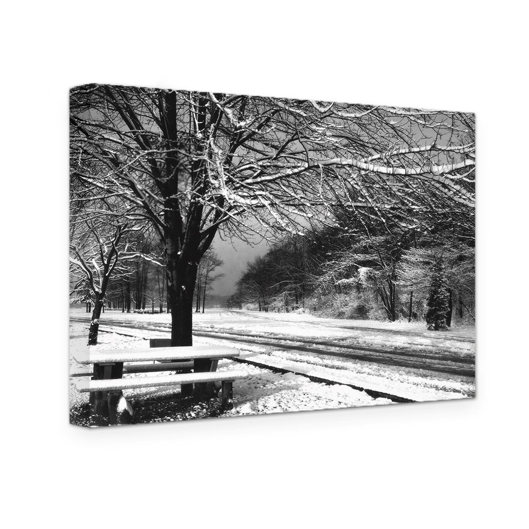 GALLERY WRAPPED CANVAS - BELLE ISLE WINTER