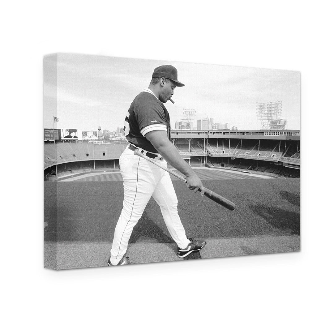 GALLERY WRAPPED CANVAS - DETROIT TIGERS CECIL FIELDER