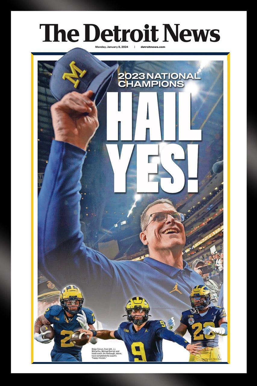 framed canvas- FRONT PAGES-HAIL YES