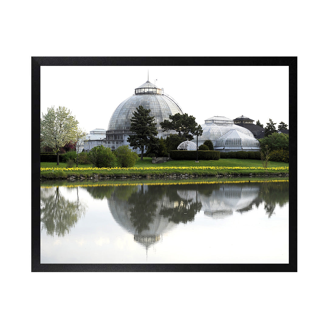 Framed Canvas Photos - BELLE ISLE CONSERVATORY
